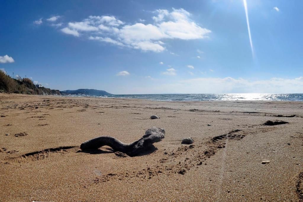 Driftwood on the sand at Agios Georgios Beach